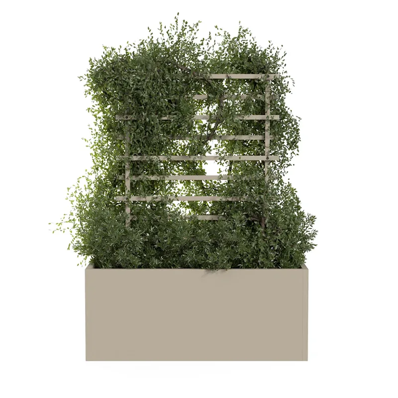 Outdoor Metal Climbing Plant Trellis