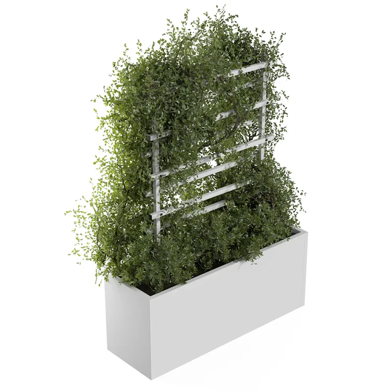 Outdoor Metal Climbing Plant Trellis