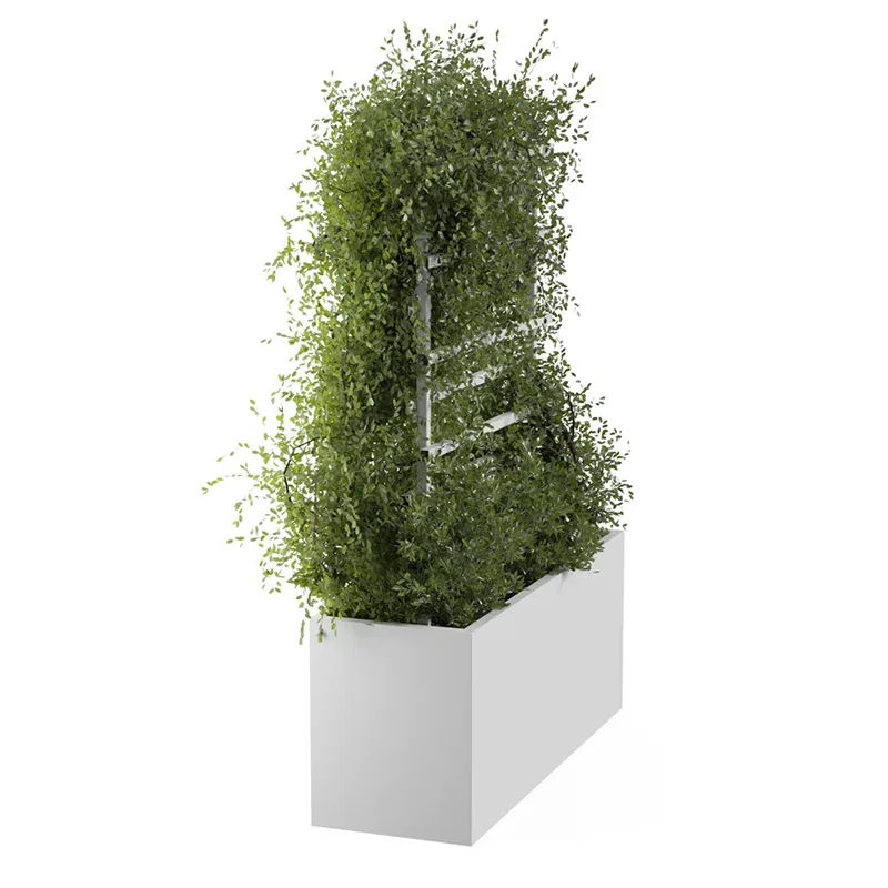 Outdoor Metal Climbing Plant Trellis