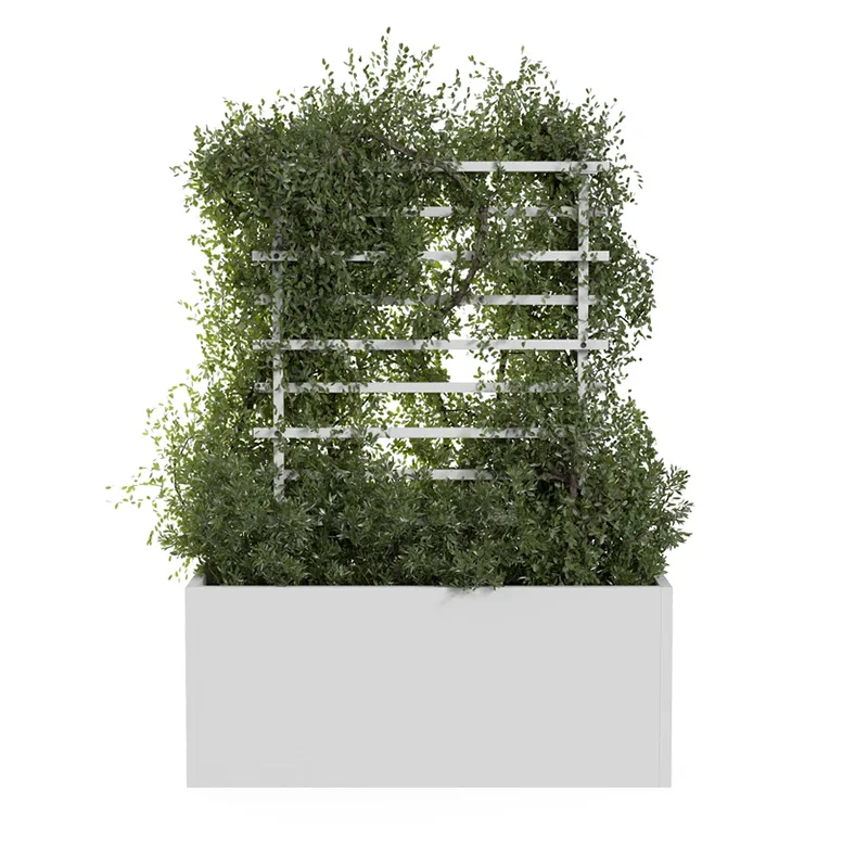 Outdoor Metal Climbing Plant Trellis