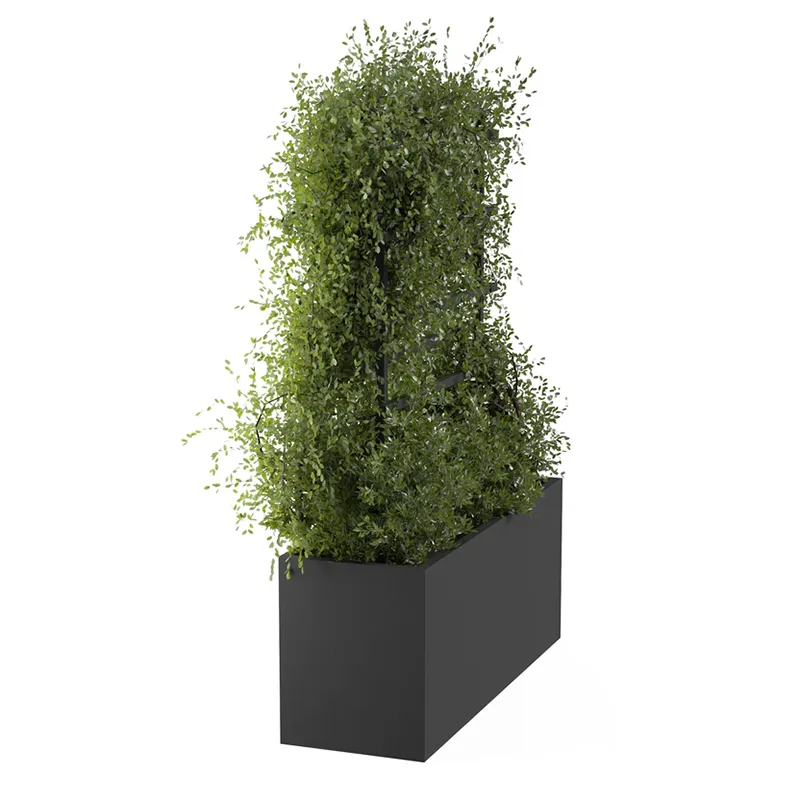 Outdoor Metal Climbing Plant Trellis