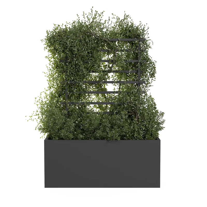 Outdoor Metal Climbing Plant Trellis